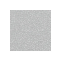 Medžio fanieros plokštė AH 0491 G Birch Plywood Plastic-Coated with Stabilising Foil white 9.4 mm
