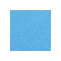 Medžio fanieros plokštė AH 04952 G Birch Plywood Plastic-Coated with Stabilising Foil sky blue 9.4 mm