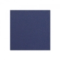 Medžio fanieros plokštė AH 04953 G Birch Plywood Plastic-Coated with Stabilising Foil navy blue 9.4 mm